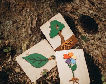 Montessori Leaf & Flower Puzzle: Birch Wood Botany Learning