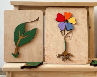 Montessori leaf, tree and flower puzzles - Botanic Puzzles for learning - Montessori Biology Zoology, Educational Materials