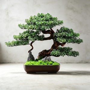 May include: A bonsai tree with a thick, dark brown, textured trunk and layered green foliage. The tree is planted in a rectangular brown ceramic pot, with bright green moss and two small grey rocks nestled at the base of the trunk.