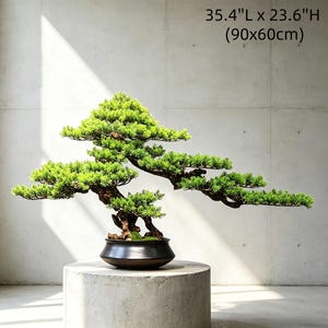 May include: A bonsai tree with vibrant green foliage and a dark brown trunk, displayed in a black ceramic pot. The tree is 35.4 inches long and 23.6 inches high, set on a cylindrical concrete pedestal against a neutral background.
