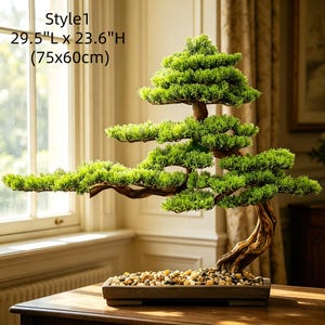 May include: A bonsai tree, Style 1, measuring 75cm L x 60cm H, with lush green foliage and a textured brown trunk. The tree is planted in a rectangular, dark-colored pot filled with small pebbles. The bonsai is displayed on a wooden table.