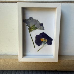 May include: A rectangular white frame containing two pressed flowers on a white background. The top flower is light blue with visible veining, while the bottom flower is deep purple with a small yellow center. Both flowers have thin green stems.
