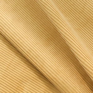 May include: Close-up of a fabric with a corduroy texture. The fabric is a light brown color.