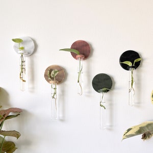 Minimalist Japandi Wall Vase / Propagation Station Wall