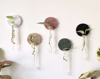 Minimalist Japandi Wall Vase / Propagation Station Wall