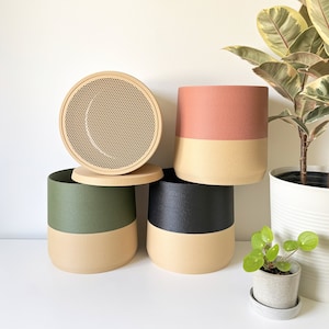 6 Inch Planter / Minimalist Flower pot / Mesh Drainage and Tray / Indoor Planter Pot