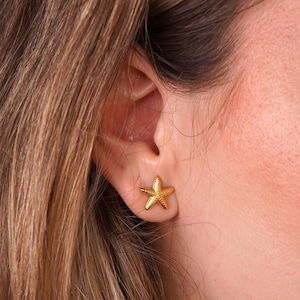 Starfish Earrings Stainless Steel Earrings Beach Jewelry Starfish Jewelry Summer Jewelry Clam Shells Ocean Earrings Waterproof