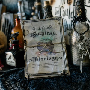 Magical Mixology: A Kid&#39;s Potionology  A spellbook for children!