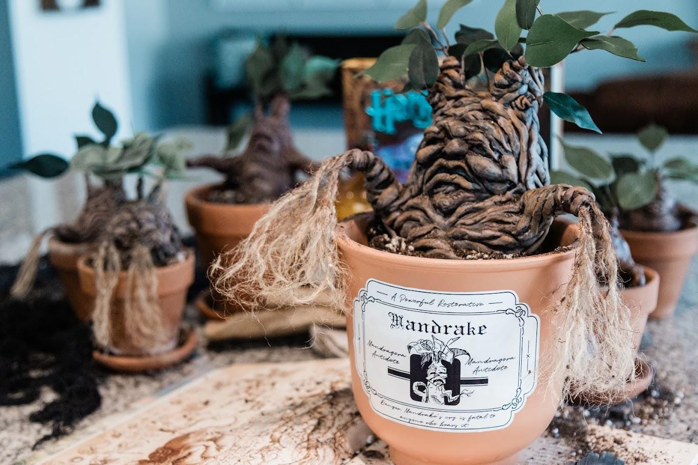 Magical Mandrake Labels – Perfect for Harry Potter Fans | Instant