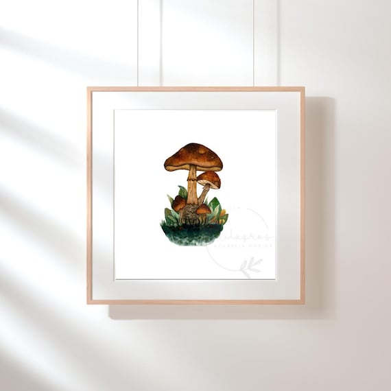art / watercolor / print / mushroom / botanical /print/ setas /hongos / naturaleza