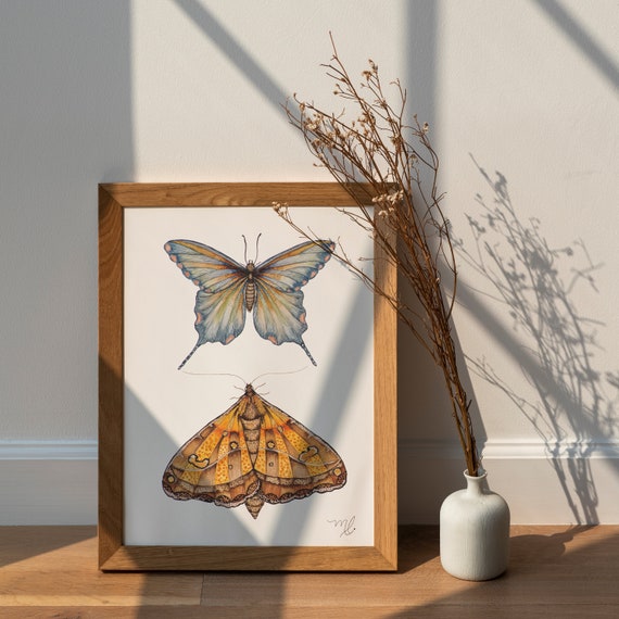 Butterfly Watercolor Print | Colorful Wall Art | Watercolor Painting | Nature Art | Physical Print | AcuarelaMagica