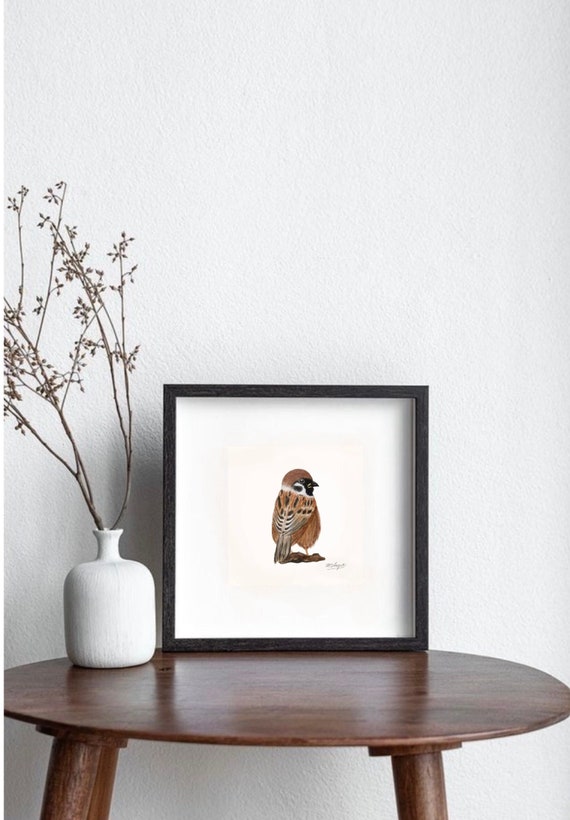 Birds, birds illustration vintage, watercolor painting, illustration, garden birds, wild bird,