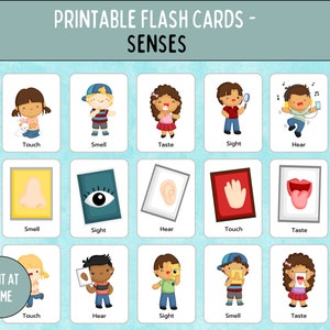 Cartes Flash My Senses, 25 cartes Senses imprimables, téléchargement immédiat, PDF imprimable, cartes Senses pour l'école à la maison, cartes Senses pour l'éducation, les enfants d'âge préscolaire