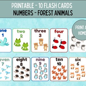 Schede flash numeriche stampabili, abilità di conteggio da 1 a 10, Schede flash animali della foresta, Schede flash conteggio prescolare, Schede flash per bambini in età prescolare