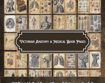 Pages de livre d'anatomie victorienne, éphémères médicaux gothiques (téléchargement numérique)