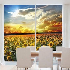 Sunflower Pattern Privacy Window Film – Frosted Glass Sticker with UV Blocking and Heat Control for Home Decor