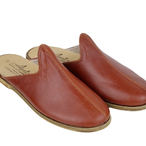 May include: A pair of brown leather slippers with a pointed toe and a closed back. The slippers have a simple design and are made of soft, supple leather.