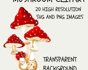 Toad Stool, Mushroom svg, Mushroom png, Mushroom clipart, magic mushroom, mushroom lovers gift