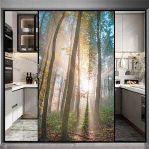 Privacy Stained Window Film – Forest Pattern, Frosted, Sun Blocking Glass Window Stickers, Static No Glue for Glass Doors