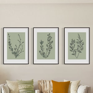Set of 3 botanical wall prints, digital wall art, printable wall art, home decor, sage green wall art, floral prints, wall decor