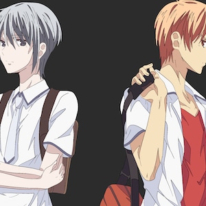 Yuki Sohma And Kyo Sohma Fruits Basket Art Print