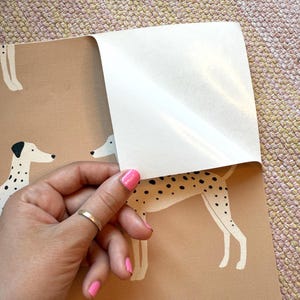 Papier peint chien dalmatien : beige pêche, amovible image 7