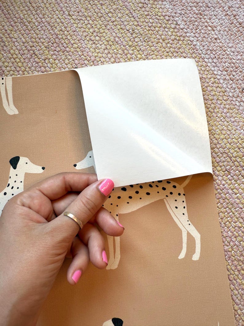 Papier peint chien dalmatien : beige pêche, amovible image 7