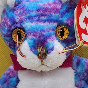 Kooky the Cat