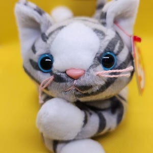 Prance the Cat
