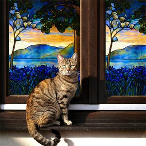 May include: A tabby cat sits on a windowsill, looking out at a stained glass window depicting a landscape with a lake, trees, and flowers. The stained glass is in shades of blue, green, and yellow.
