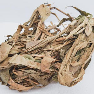 Palm Butter Leaves