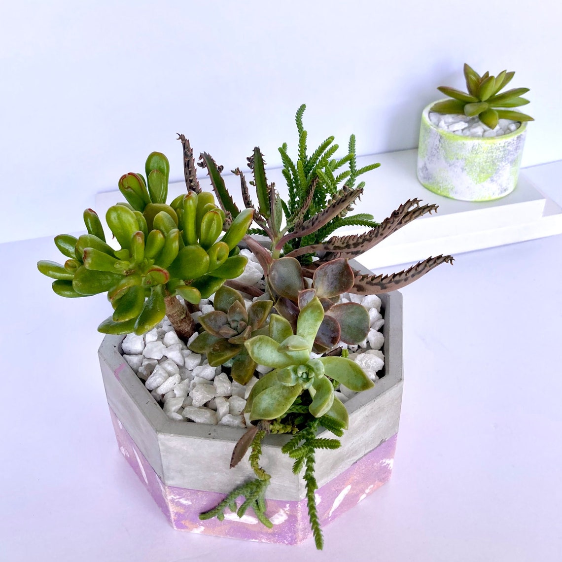 Personalized Concrete Octagon Planter | 3 Patterns - Etsy