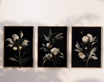 Dark/Light Floral Printable Botanical Academia 3-Image Printable Gallery Wall Gothic, Moody Botany Cottagecore, Wall Decor, Abstract Flowers