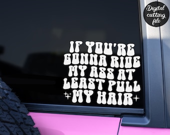 If you're gonna ride my ass at least pull my hair Svg Png Dxf, Cutting Files, Funny Car Decal svg, Funny Car Sticker, bumper sticker svg
