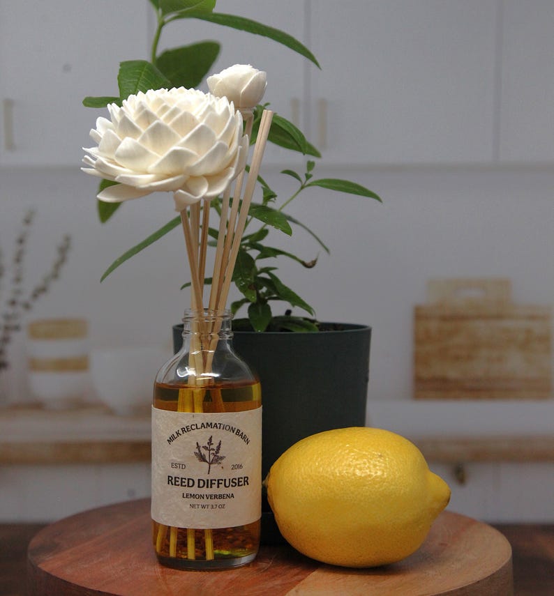 Puede incluir: Un frasco difusor de varillas de vidrio transparente lleno de l&iacute;quido &aacute;mbar, con una etiqueta que dice Milk Reclamation Barn, Reed Diffuser, Lemon Verbena, Net Wt 3.7 oz. Incluye varillas de madera rematadas con flores de madera sola blancas.