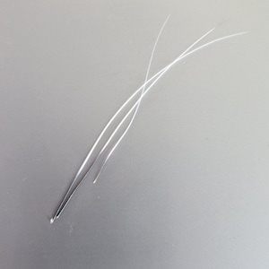 Cat Whiskers (5 per order)