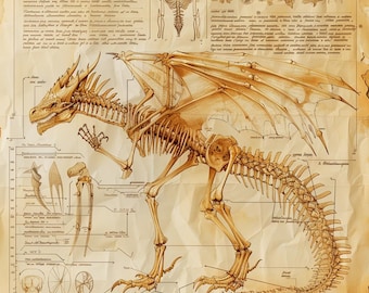 RPG Gaming Asset, Ancient Dragon Anatomy Print (Digital Download)