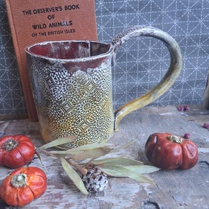 May include: A handmade ceramic mug with a decorative floral pattern in cream and yellow. The mug has a dark red interior and a curved handle. The Observer's Book of Wild Animals of the British Isles is in the background, along with small red pumpkins.
