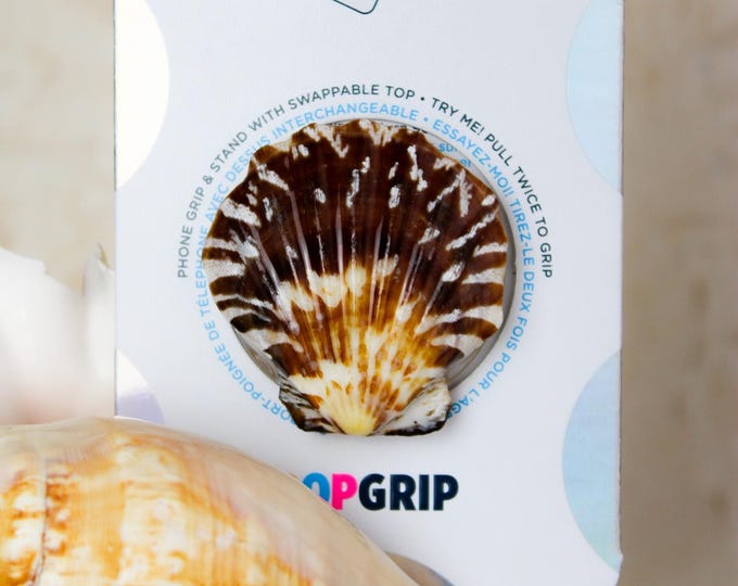 Tiger Tortoise Seashell Popsocket - Etsy