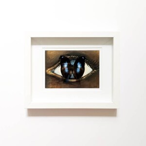 May include: A framed painting of a human eye with a butterfly in the center of the iris. The butterfly is black and blue with white markings. The eye is surrounded by a brown and white eyelid.
