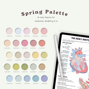 Könnte beinhalten: Eine digitale Farbpalette mit 25 verschiedenen Pastellfarben, darunter Rosa, Blau, Grün und Gelb. Die Palette ist mit "Spring Palette" beschriftet und für die Verwendung mit Notiz-Apps wie Goodnotes und Notability gedacht. Das Bild enthält auch ein Diagramm des menschlichen Herzens.
