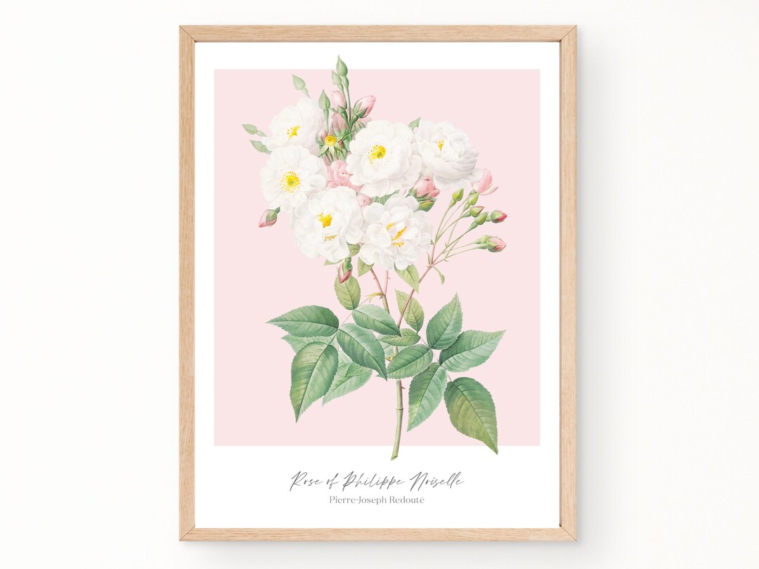 Vintage Flower Print Pink Rose Print Pastel Vintage Painting