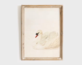 May include: Watercolor painting of a white swan with a black beak and red accents, set against a light background. The artwork is framed in a light-colored wooden frame, adding a touch of rustic charm to the piece. The swan is depicted in a relaxed pose.