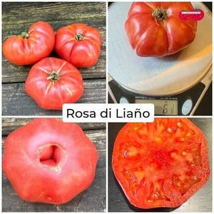 May include: Rosa di Liaño tomatoes. Three whole red tomatoes are shown on a wooden surface. One tomato sits on a digital scale displaying 6.1 ounces. A single tomato is shown from the top, and one is sliced in half revealing the interior.