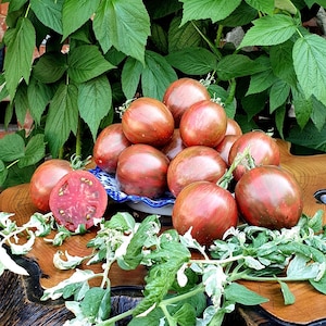 Moonlight Mile Tomato Seeds Florida Friendly
