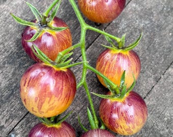 May include: A cluster of seven small, striped tomatoes with a mix of red, yellow, and purple hues. The tomatoes are attached to a green vine and are arranged on a wooden surface.