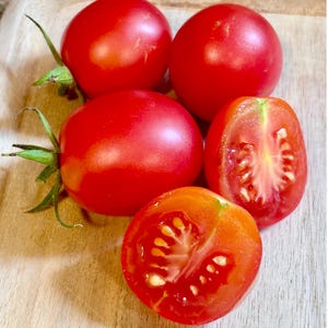 Bendigo Dawn Dwarf Tomato Seeds Florida Grown