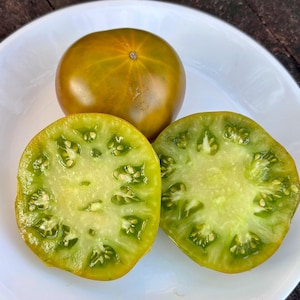 622-08 UKRANIAN  Dwarf Tomato Seeds Florida Grown
