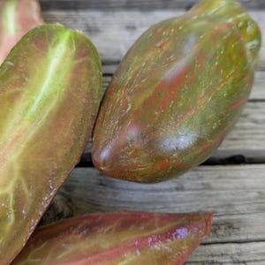 May include: Close-up of several heirloom tomatoes with a unique color pattern. The tomatoes are oblong, with a mix of green, red, and brown hues. One tomato is sliced, revealing the interior. The tomatoes rest on a weathered wooden surface.