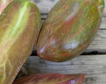 Cuban Salami Tomato Seeds
